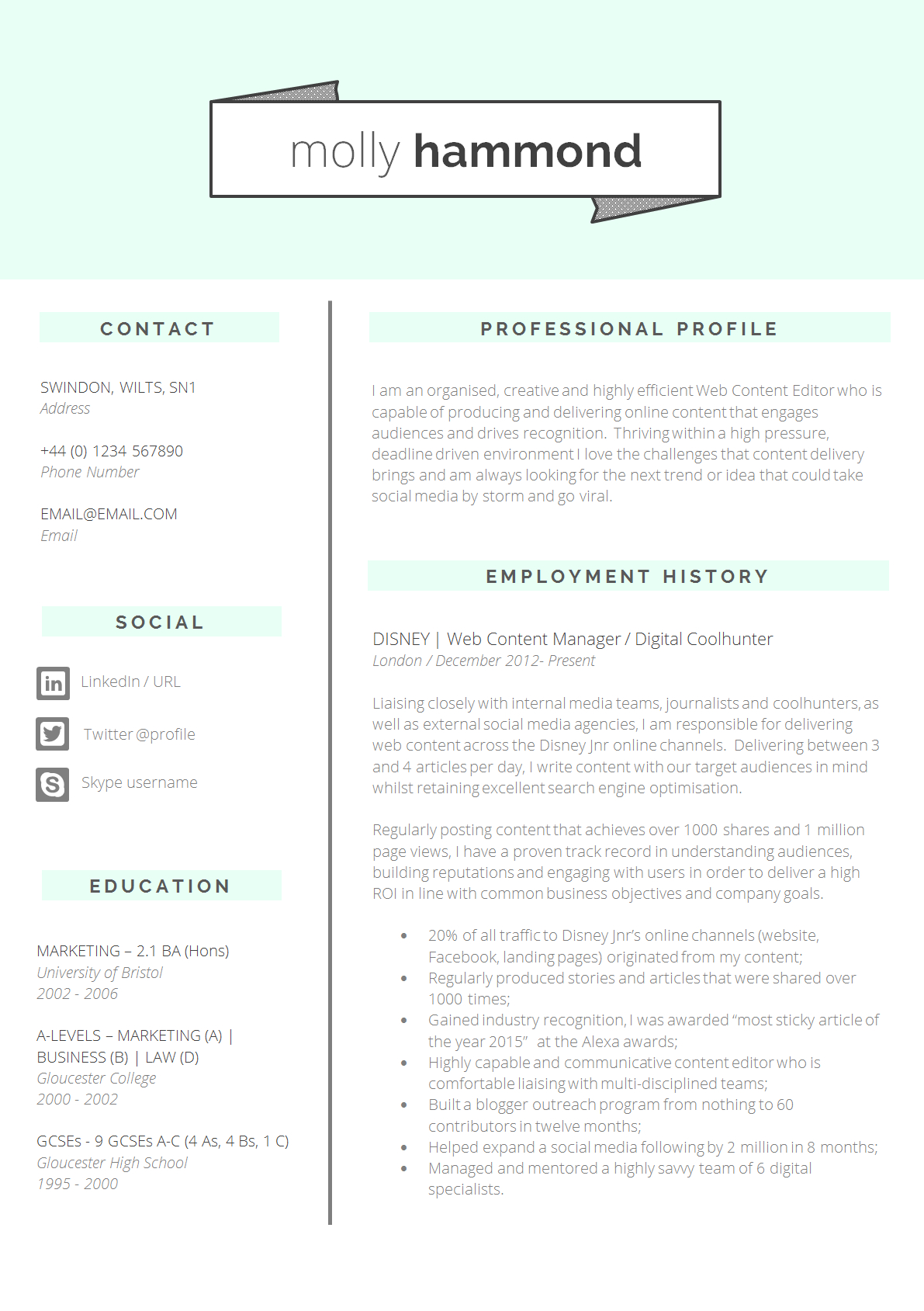 13 Slick And Highly Professional Cv Templates Guru for measurements 1191 X 1689