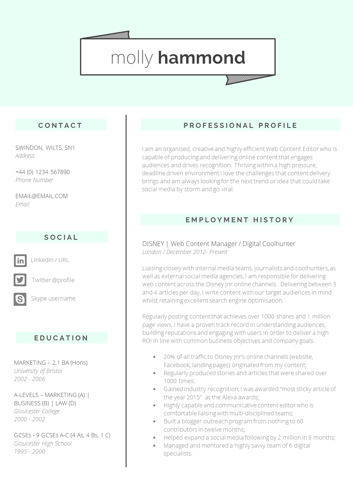 13 Slick And Highly Professional Cv Templates Guru throughout size 1191 X 1689