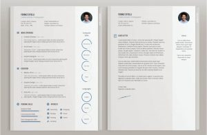 19 Templates De Cv Gratuits Et Lgants Tlcharger within proportions 2004 X 1308