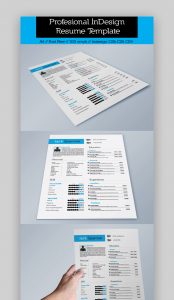 25 Meilleurs Modles De Cv Indesign Tlchargements Pro inside sizing 850 X 1467