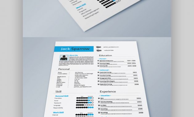 25 Meilleurs Modles De Cv Indesign Tlchargements Pro inside sizing 850 X 1467