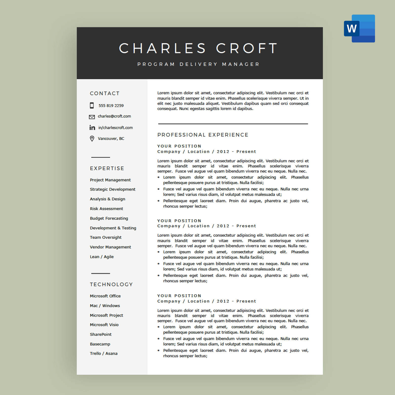 download free cv template microsoft word