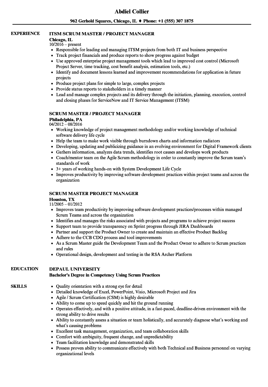 Agile Project Manager Resume Akali regarding dimensions 860 X 1240