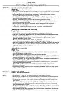 Agile Project Manager Resume Akali with regard to sizing 860 X 1240