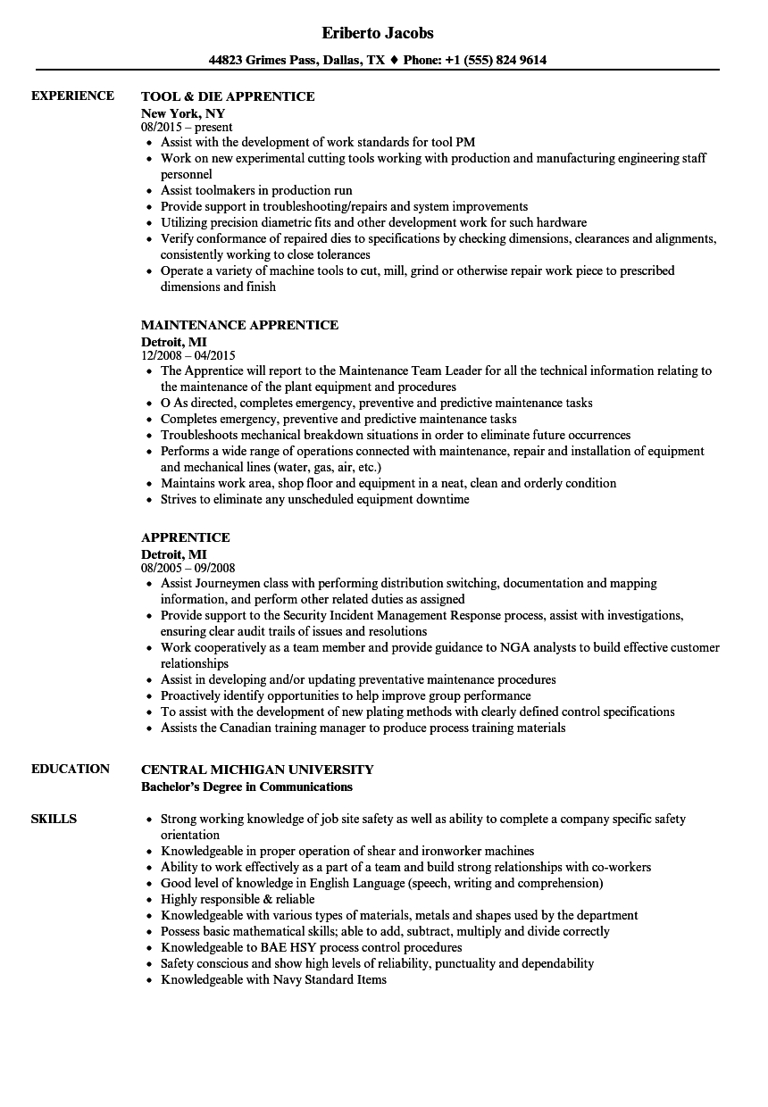 Apprentice Resume Samples Velvet Jobs for sizing 860 X 1240