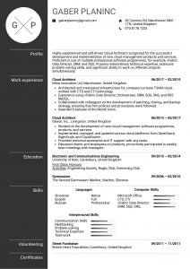 Architect Resume Templates Menom throughout measurements 1240 X 1754