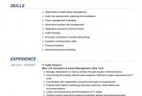 Auditor Resume Example Cv Sample Guide 2020 Resumekraft inside sizing 913 X 1293