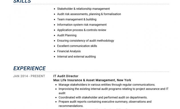 Auditor Resume Example Cv Sample Guide 2020 Resumekraft inside sizing 913 X 1293