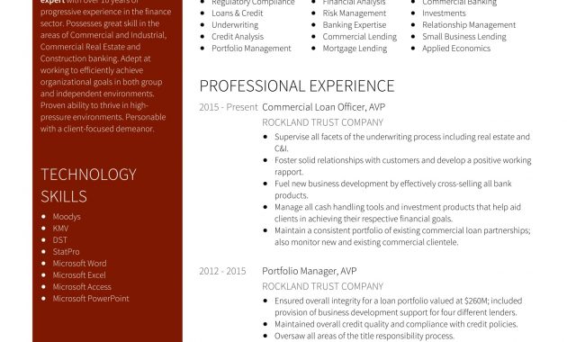 Bank Banker Cv S Template Cv Format And Cv Samples Debandje inside sizing 1653 X 2339