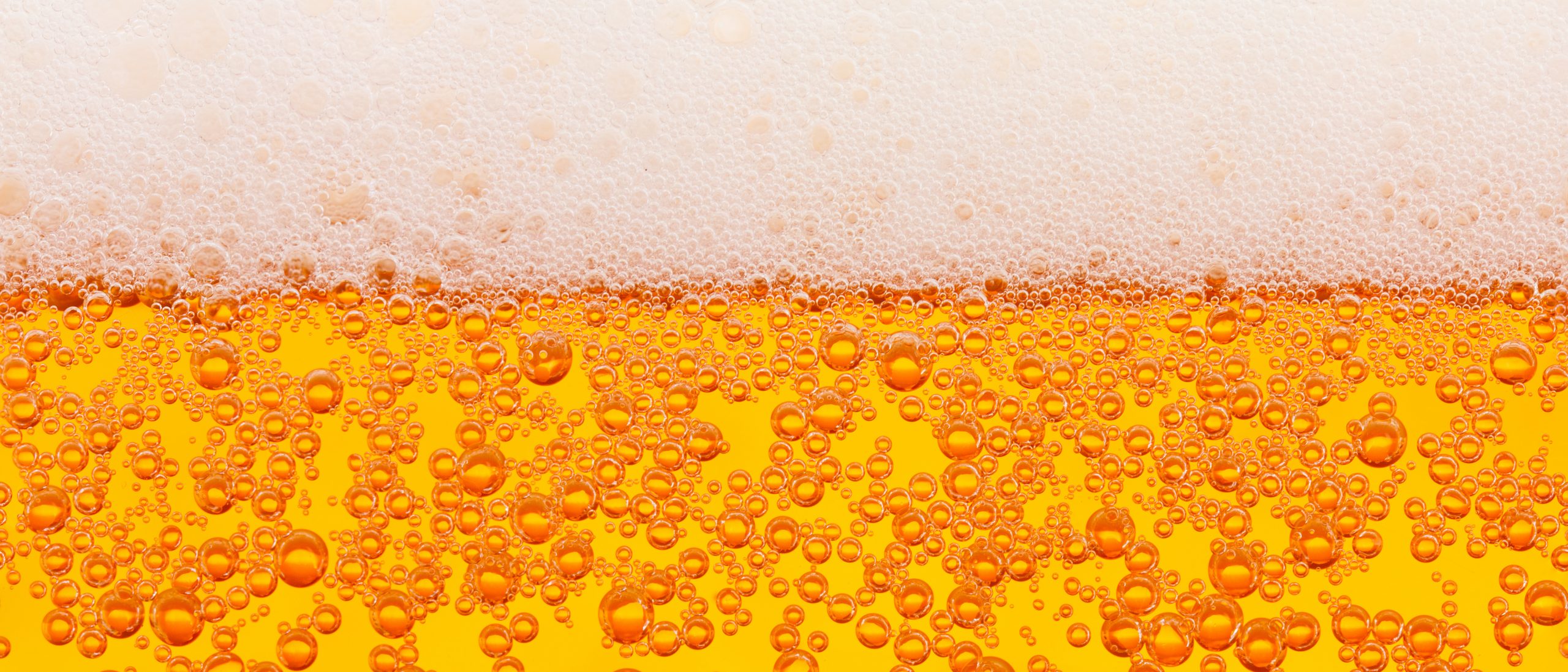 Beer Texture Seamless Tropi Co2 in dimensions 5423 X 2323