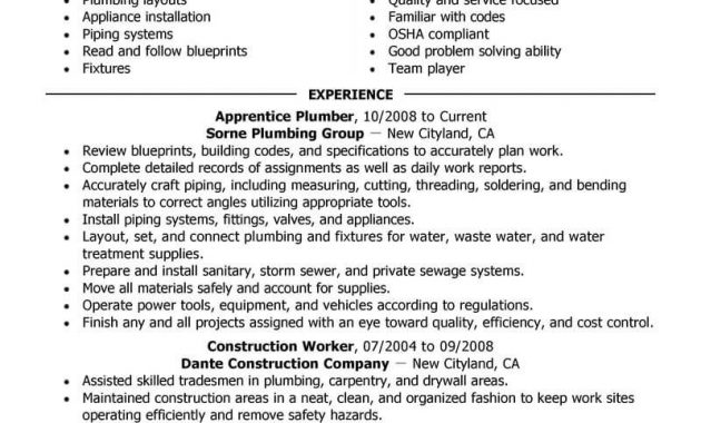 Best Apprentice Plumber Resume Example Livecareer regarding size 800 X 1035