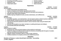 Best Auditor Resume Example Livecareer with dimensions 800 X 1035