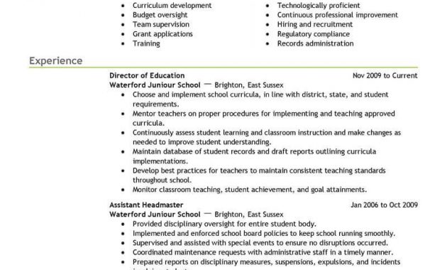 Best Director Resume Example Livecareer throughout sizing 800 X 1035