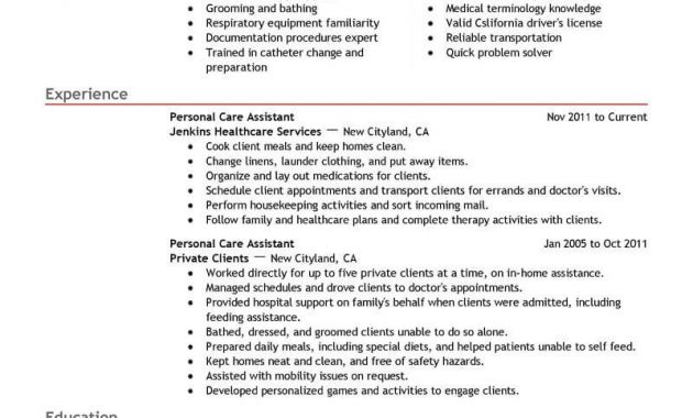 Best Personal Care Assistant Resume Example Livecareer within proportions 800 X 1035