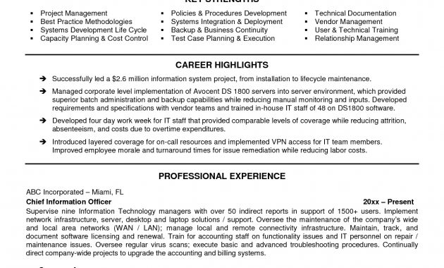 Best Resume Cio Resume Formats Google Search With Images for sizing 1275 X 1650