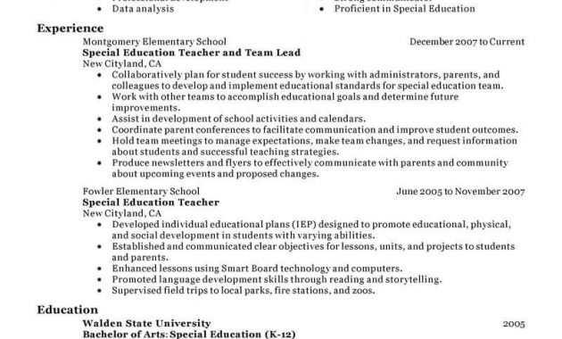 Best Team Lead Resume Example Livecareer for proportions 800 X 1035