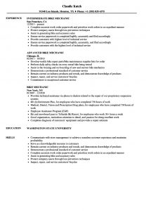 Bike Mechanic Resume Samples Velvet Jobs intended for sizing 860 X 1240