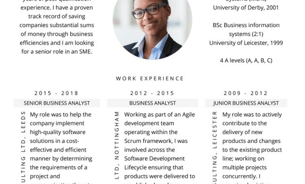 Business Analyst Cv Example Free Download Meet Me within sizing 800 X 1132