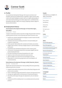 Business Development Manager Resume Guide 12 Templates Pdf within dimensions 2478 X 3507