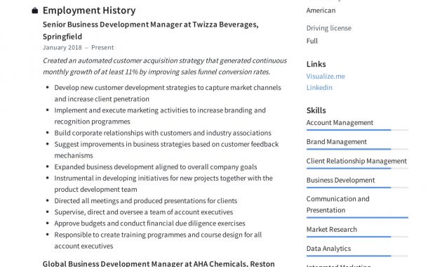 Business Development Manager Resume Guide 12 Templates Pdf within dimensions 2478 X 3507