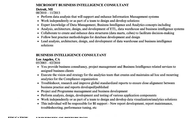 Business Intelligence Consultant Resume Samples Velvet Jobs intended for size 860 X 1240