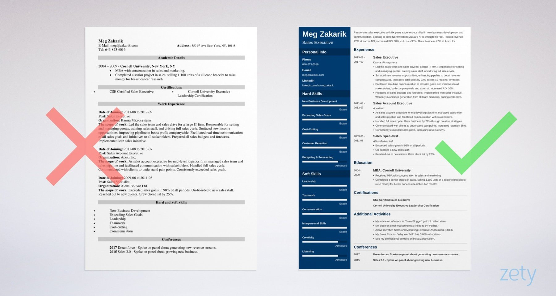 Business Resume Template 20 Professional Examples throughout dimensions 1800 X 960