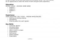 Careers Portal Entry Level Cv Template intended for dimensions 1653 X 2339