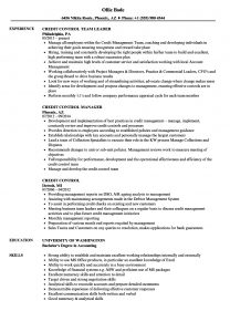 Credit Control Resume Samples Velvet Jobs in measurements 860 X 1240