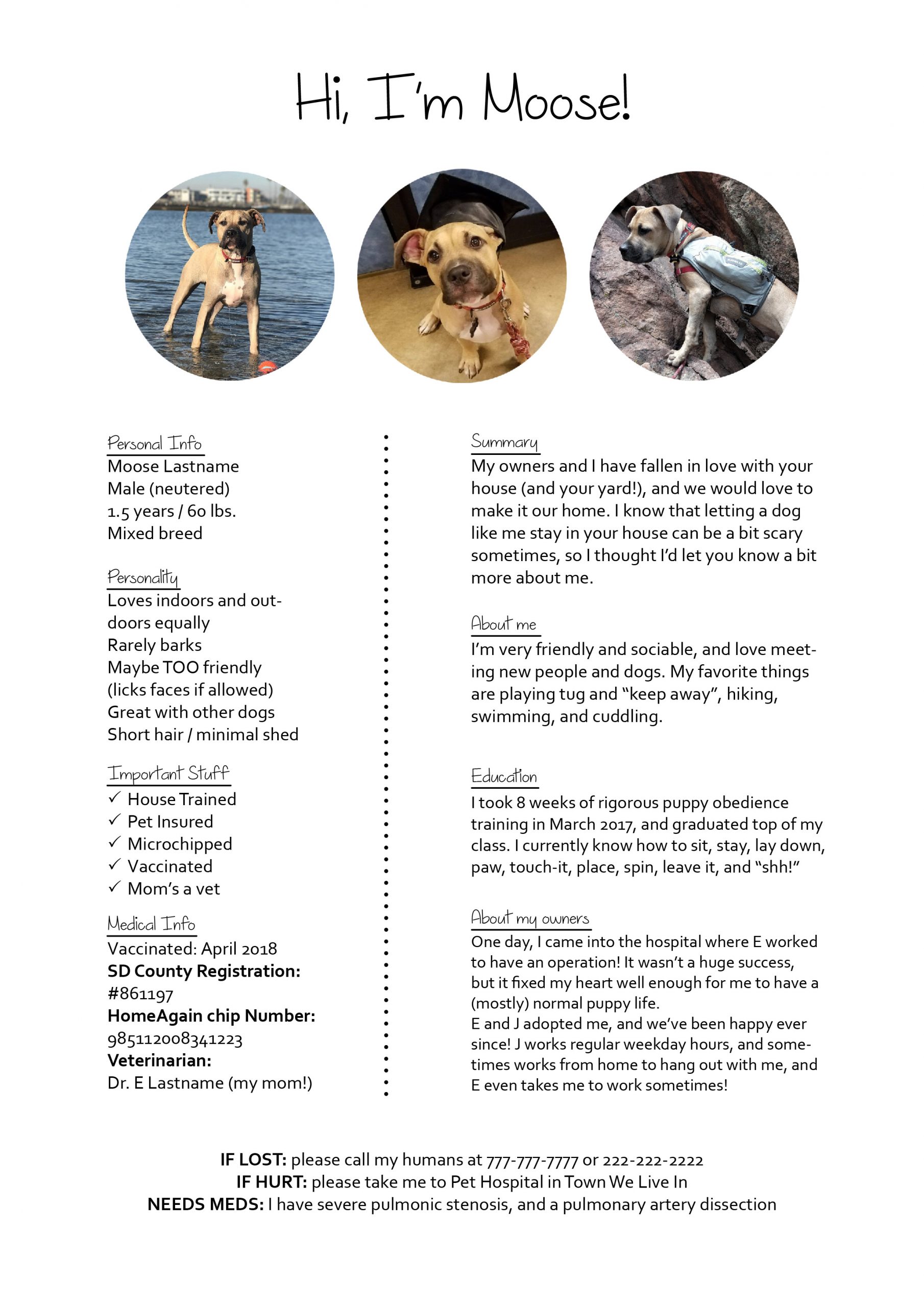 Critique My Dogs Resume Resumes throughout sizing 2480 X 3508