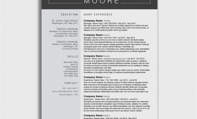 Cv Etudiant Transfert Duniversite All New Resume Examples within size 1020 X 1090