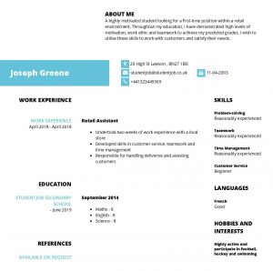 Cv Examples And Cv Templates Studentjob Uk for measurements 1240 X 1232