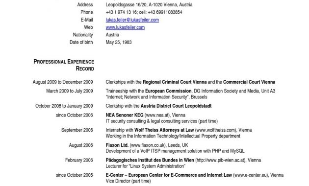 Cv Template Europe Curriculum Vitae Format Curriculum for size 1066 X 1508