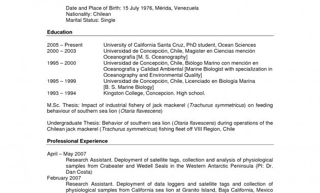 Cv Template Graduate Student Debandje for dimensions 1275 X 1650