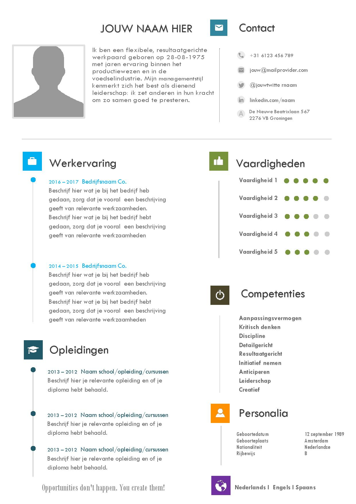 Cv Template Nederlands Word Debandje in proportions 1240 X 1754