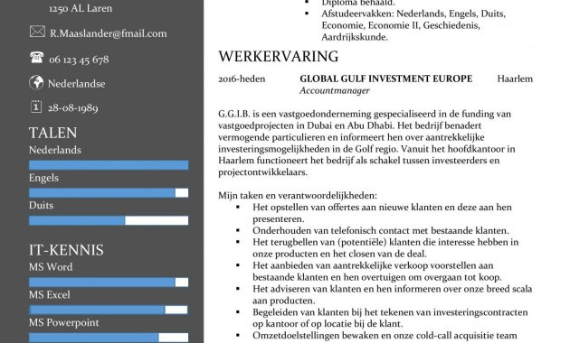 Cv Template Nederlands Word Debandje intended for dimensions 1448 X 2048