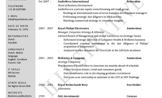 Cv Template University Student Google Search With Images for measurements 1240 X 1754