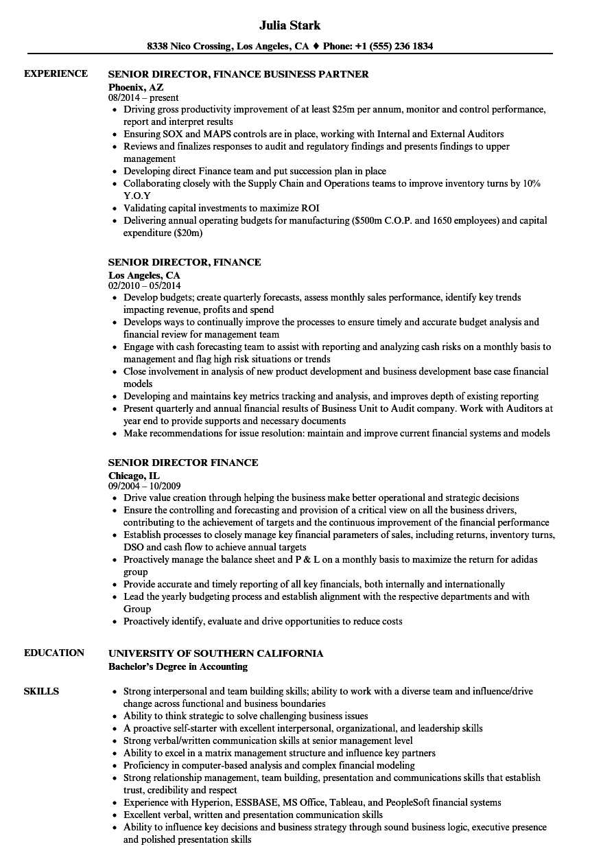 Director Of Finance Resume Debandje pertaining to dimensions 860 X 1240