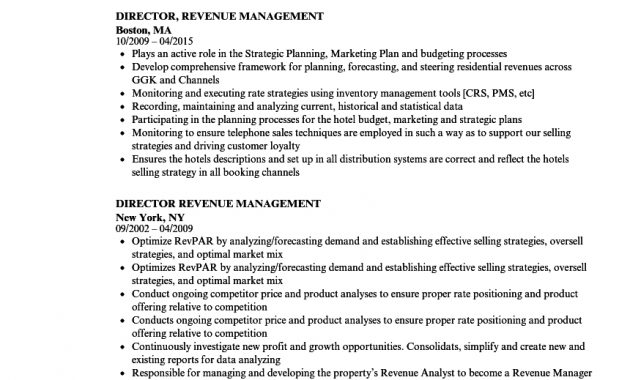 Director Revenue Management Resume Samples Velvet Jobs in measurements 860 X 1240