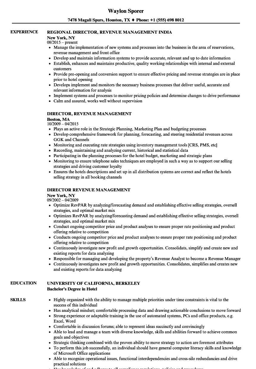 Director Revenue Management Resume Samples Velvet Jobs in measurements 860 X 1240