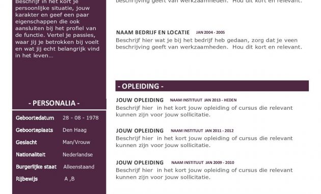 Dit Moderne Cv Van Paars Grijs En Wit Biedt Ruimte Voor Al with regard to dimensions 1240 X 1754