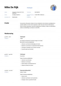 Engels Cv Template Enom pertaining to proportions 2479 X 3508