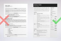 Entrepreneur Resume Sample Entrepreneurial Job Skills in proportions 2400 X 1280