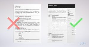 Entrepreneur Resume Sample Entrepreneurial Job Skills in proportions 2400 X 1280