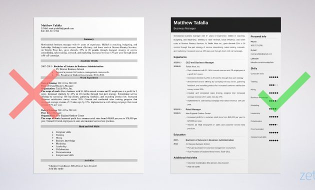 Entrepreneur Resume Sample Entrepreneurial Job Skills in proportions 2400 X 1280