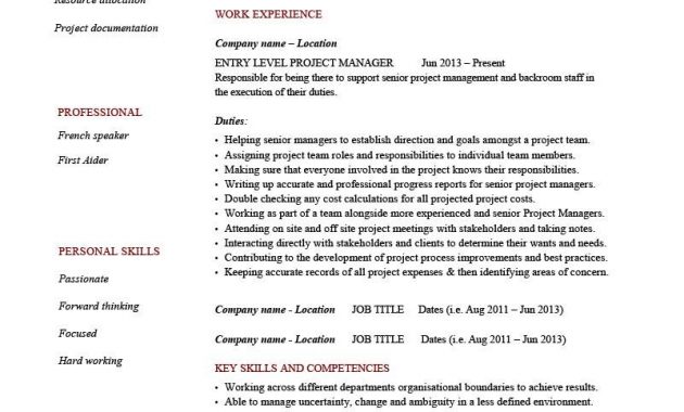 Entry Level Project Manager Resume Job Resume Examples with measurements 801 X 1132