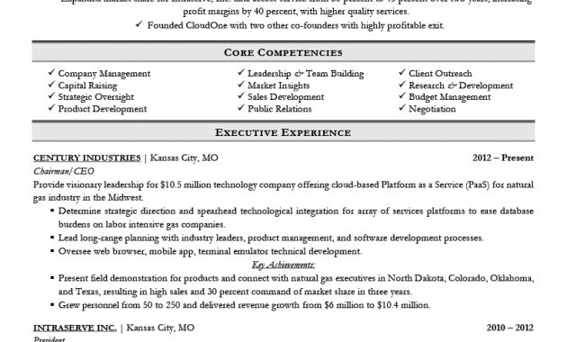 Executive Resume Examples Writing Tips Ceo Cio Cto within size 800 X 1035