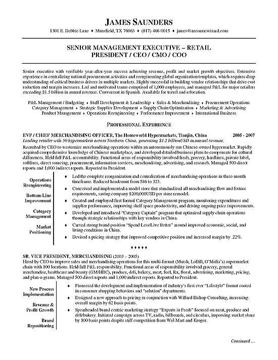 Executive Summary Example For Resumes Akali intended for sizing 550 X 712