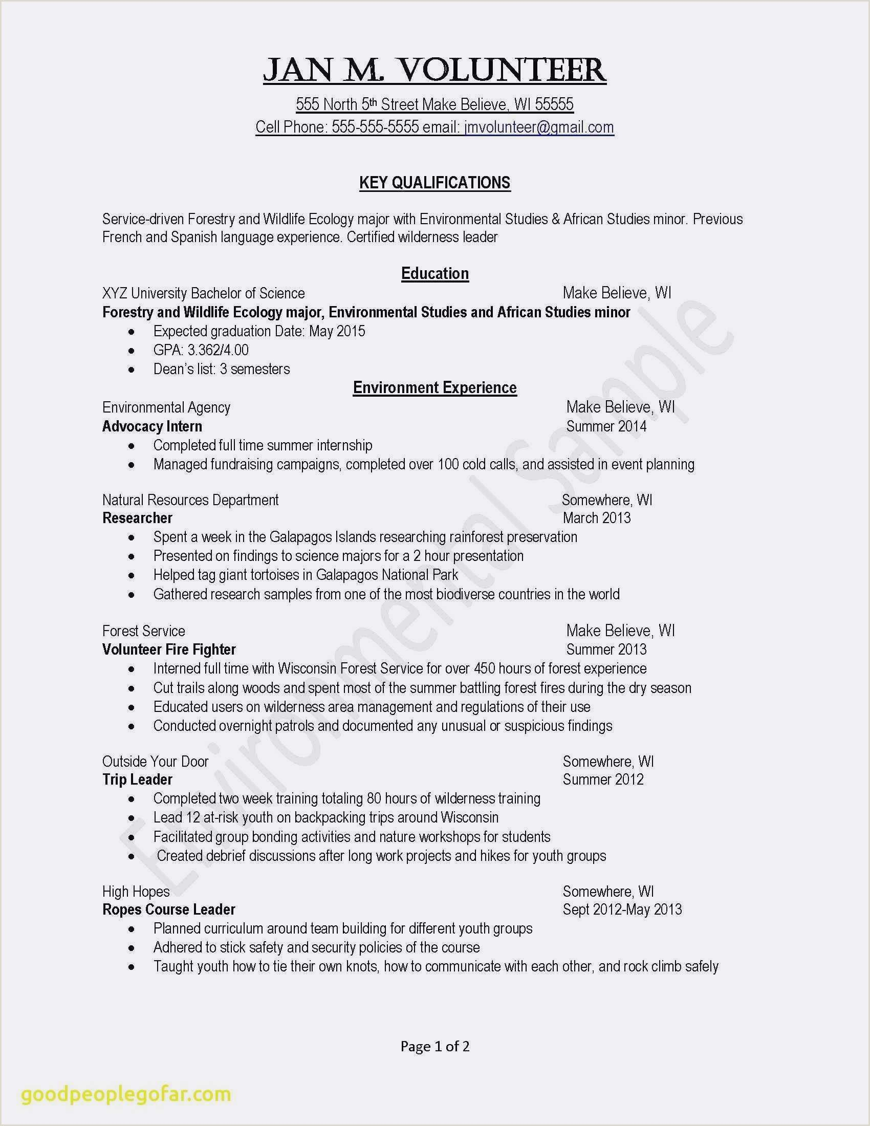 Exemple De Cv En Francais Exemple De Cv En Francais for proportions 1700 X 2200