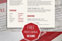 Fancy Resume Template For Free Modern Resume Template throughout sizing 736 X 1350