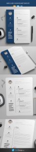 Free Resume Template Zokidesign with measurements 590 X 2457